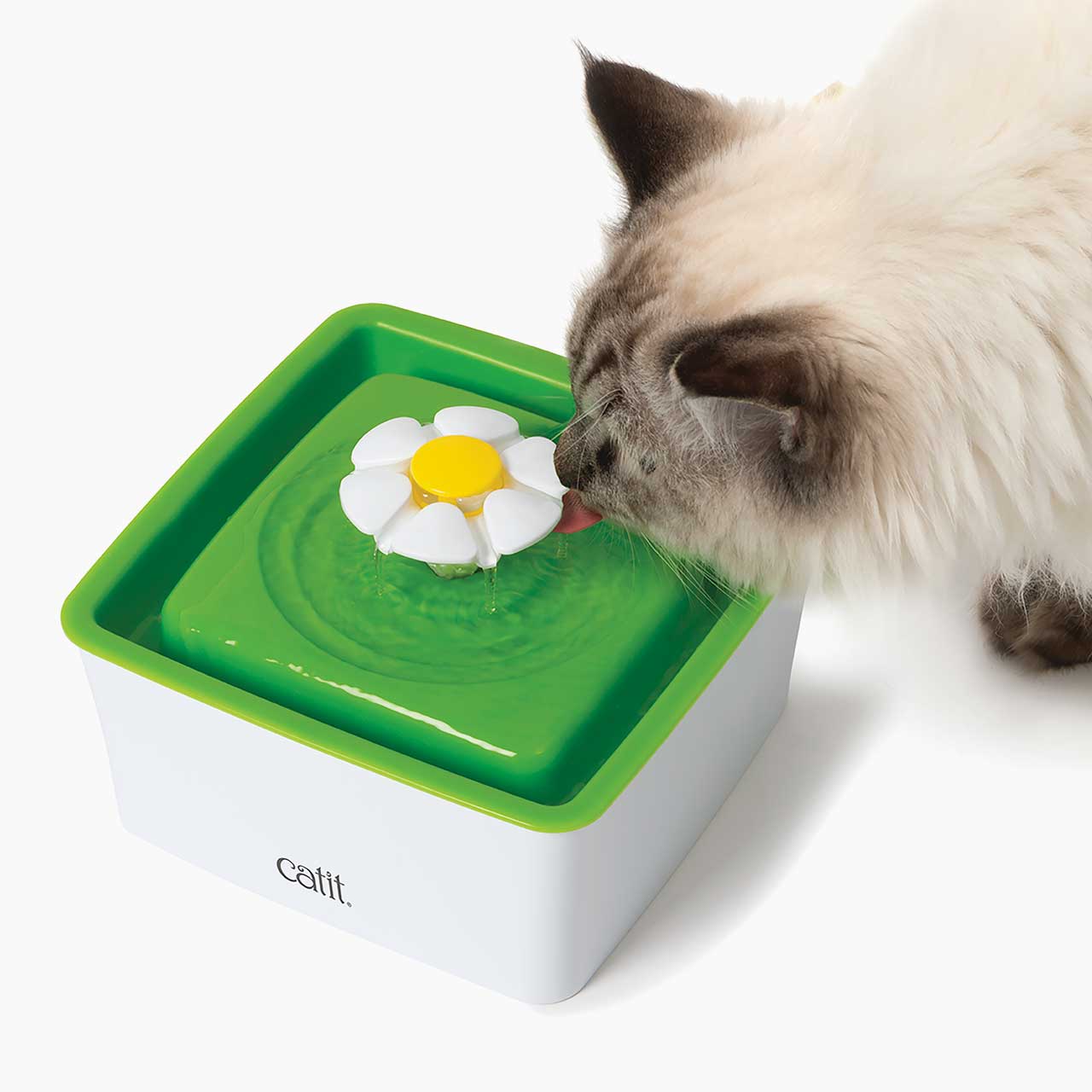 Catit Mini Flower Fountain with a cat drinking from the flower spout